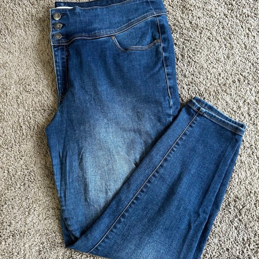 Lane Bryant Jeggings​